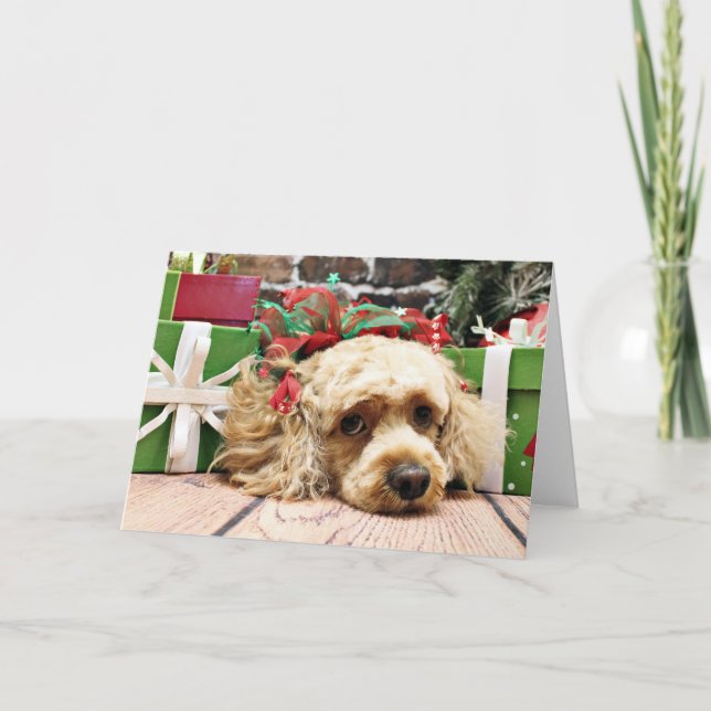 Christmas - Cockapoo - Ruby Holiday Card (Front)
