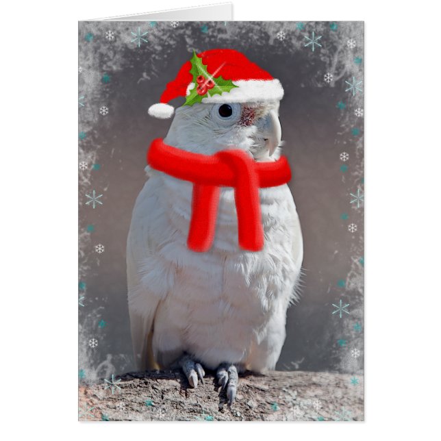 Christmas Cockatoo Card (Enter Your Own Message) (Front)