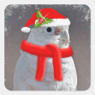 Christmas Cockatoo Sticker