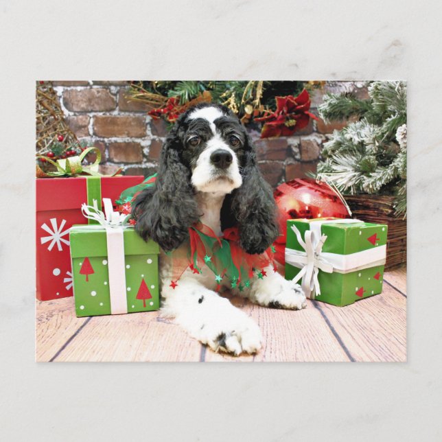 Christmas - Cocker Spaniel - Laci Holiday Postcard (Front)