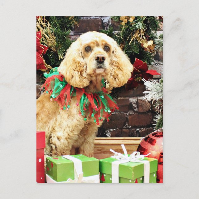 Christmas - Cocker Spaniel - Maggie Holiday Postcard (Front)