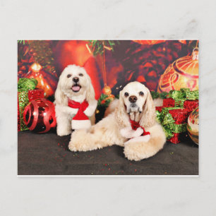 Christmas - Cocker - Toby, Havanese - Little T Holiday Postcard