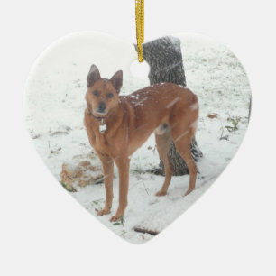 Christmas Collection Pet or Family Photo Ceramic Tree Decoration