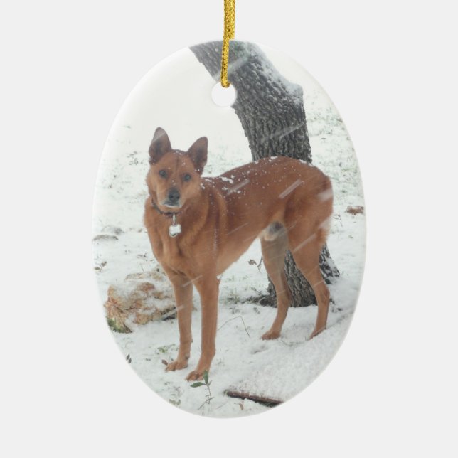 Christmas Collection Pet or Family Photo Ceramic Tree Decoration (Front)