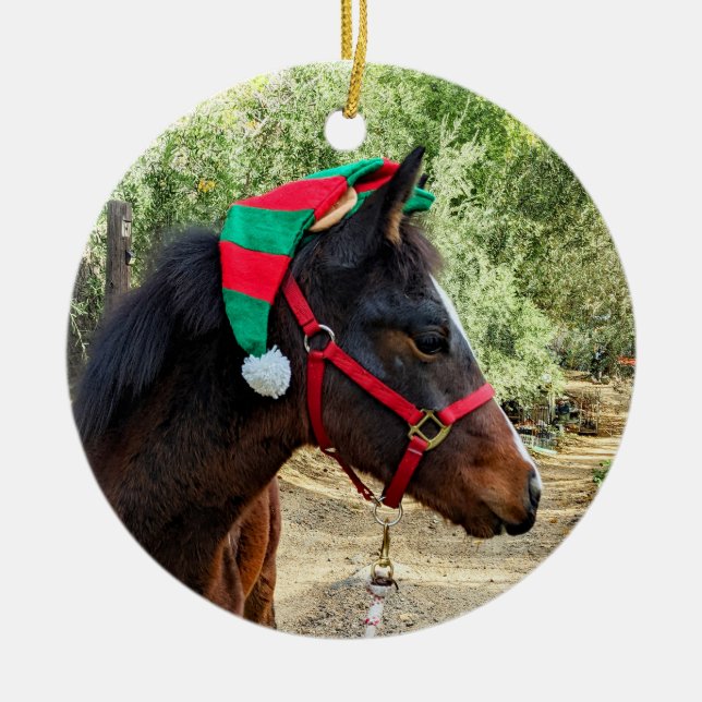 Christmas Colt Ceramic Tree Decoration (Front)