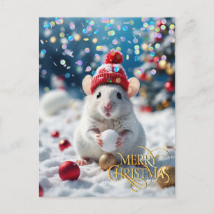 Christmas. Congratulation.  Postcard
