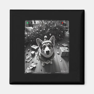 Christmas Corgi Caught On Camera Magnet