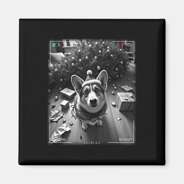 Christmas Corgi Caught On Camera  Magnet (Front)