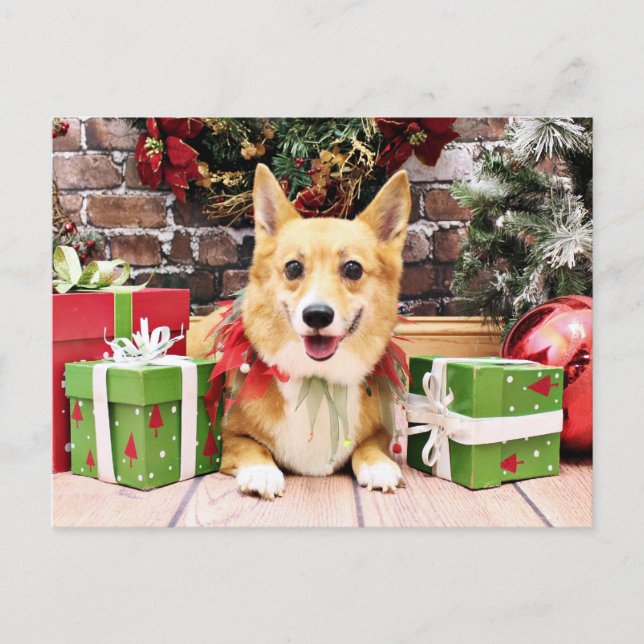 Christmas - Corgi - Pancake Holiday Postcard (Front)
