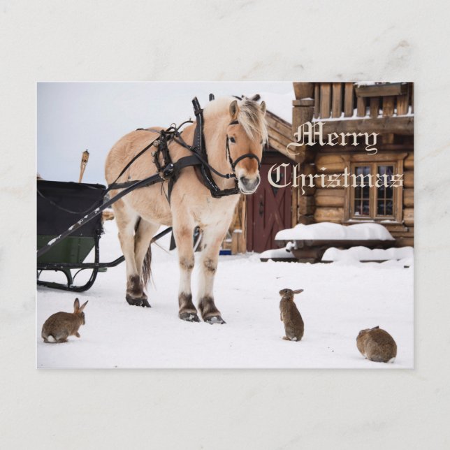 Christmas country farm idyll animal talk friends holiday postcard (Front)
