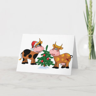 Christmas Cows Holiday Card