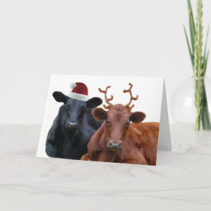 Christmas Cows in Santa Hat and Antlers Holiday Ca Card
