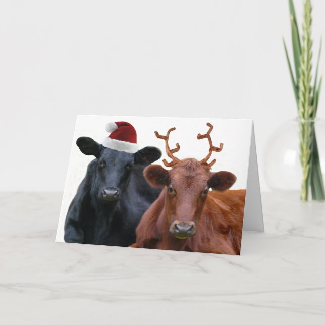 Christmas Cows in Santa Hat and Antlers Holiday Card (Front)