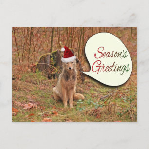 Christmas Coyote Holiday Postcard
