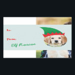 Christmas Crew Elf Hat Photo Holiday Gift Label<br><div class="desc">Mark your gifts with a lighthearted and fun sticker that puts you in a silly elf hat. To make your photos fit the space you may need to resize or crop your image using the "Edit" tool. Photography � Shanna Russell Photography,  San Antonio TX</div>
