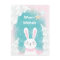 Christmas Cute Bunny Pink and Mint Postcard