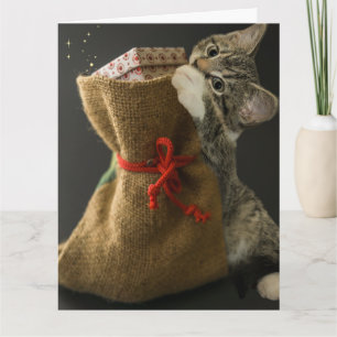 CHRISTMAS CUTE CAT SURPRISES Greeting Card