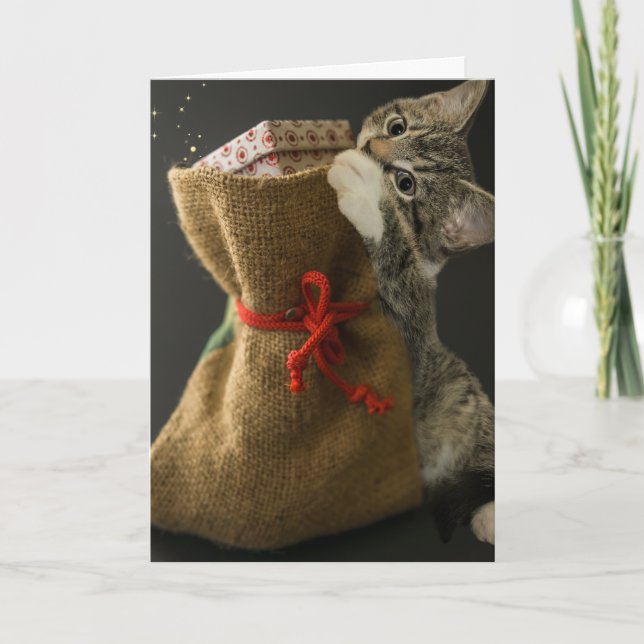  CHRISTMAS CUTE CAT SURPRISES Greeting Card (Front)