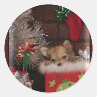 Christmas Cute Chihuahua Puppy In Box Classic Round Sticker