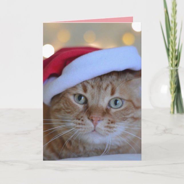CHRISTMAS CUTE GINGER CAT GREETING CARD (Front)