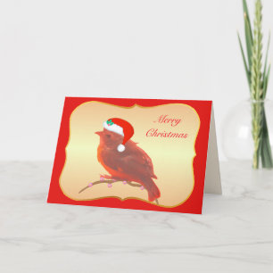 Christmas cute little bird card