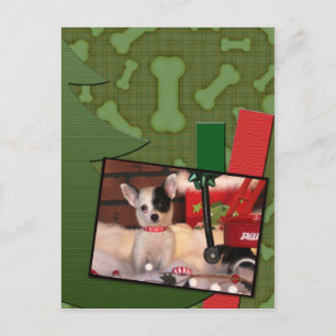 Christmas Cute Puppy Chihuahua Spots Holiday Postcard