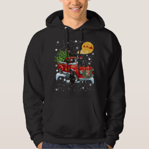 Christmas Dachshund Dog With Vintage Red Truck Fun Hoodie