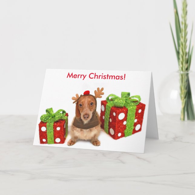 Christmas Dachshund Holiday Card (Front)