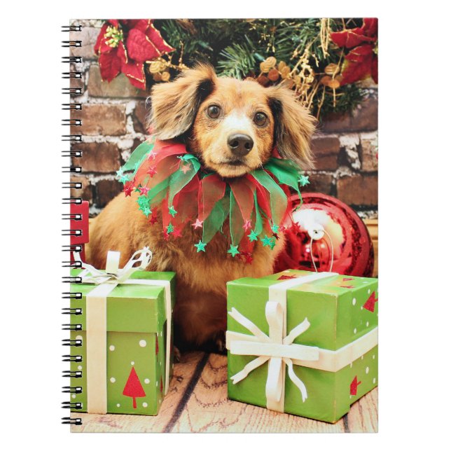 Christmas - Dachsund - Heidi Notebook (Front)