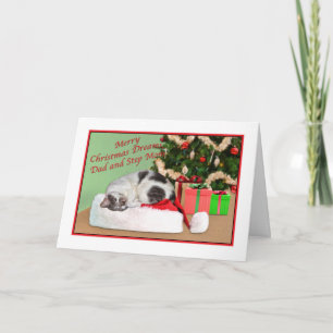 Christmas, Dad and Step Mum, Sleeping Cat Holiday Card