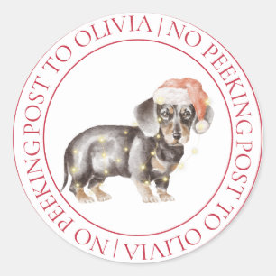 Christmas Daschund Dog Kids No Peeking Classic Round Sticker