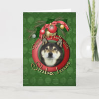 Christmas - Deck the Halls - Shiba Inus - Yasha