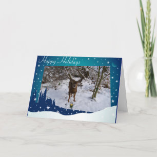 Christmas Deer Holiday Card