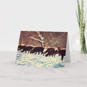 Christmas Deer Holiday Card