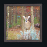 Christmas Deer Jewellery Box<br><div class="desc">Christmas Deer Photo by Sandy Closs,  taken at Lake Arrowhead Ga. " white tail deer",  "lake arrowhead",  deer,  " deer hunter", "  deer hunters", " deer lover",  hunter, " for a hunter", " for deer lover",  Bambi green red</div>