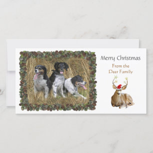 Christmas Deer Photo Card