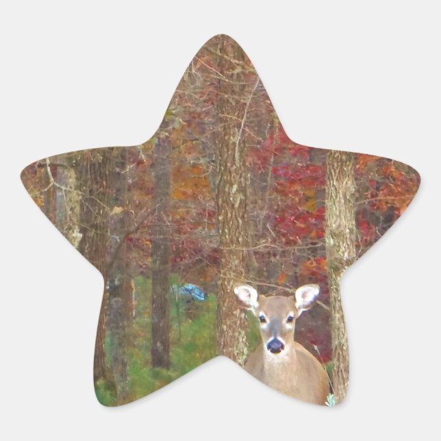 Christmas Deer Star Sticker (Front)