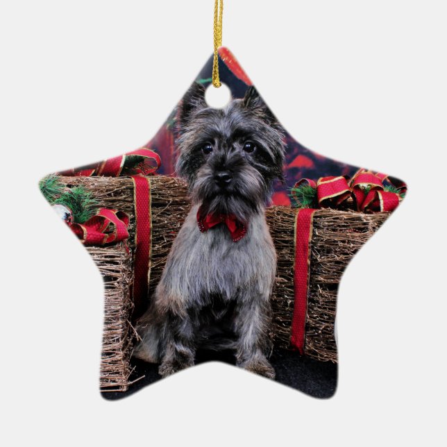 Christmas - Dexter - Cairn Ceramic Tree Decoration (Front)