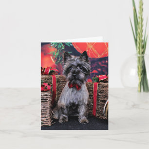 Christmas - Dexter - Cairn Holiday Card