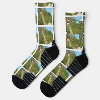 Christmas Dinosaurs Brontosaurus Socks