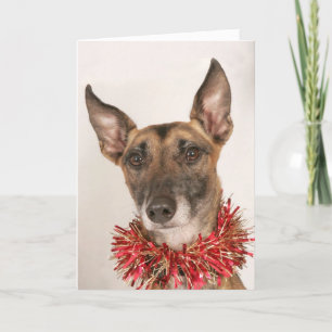 Christmas Dog 1 Holiday Card