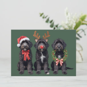 Christmas Dog Black Goldendoodle Doodle Mom Winter Holiday Card