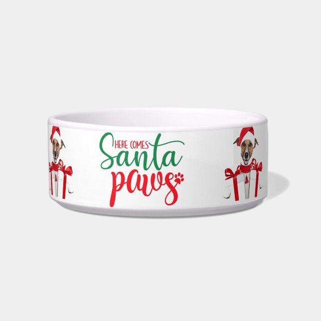  Christmas Dog Bowl (Front)