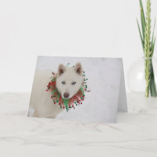 Christmas Dog Card