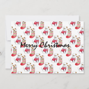 Christmas Dog & Cat Stockings          Invitation