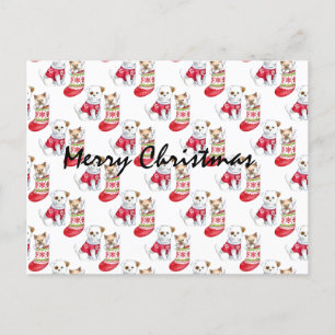 Christmas Dog & Cat Stockings          Postcard