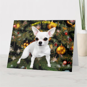 Christmas Dog Chihuahua Card