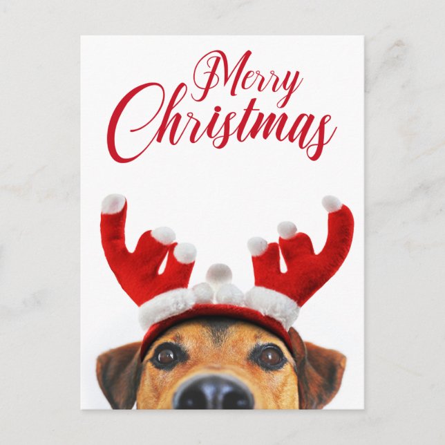Christmas Dog Funny Cute Reindeer Antler Headband Holiday Postcard (Front)