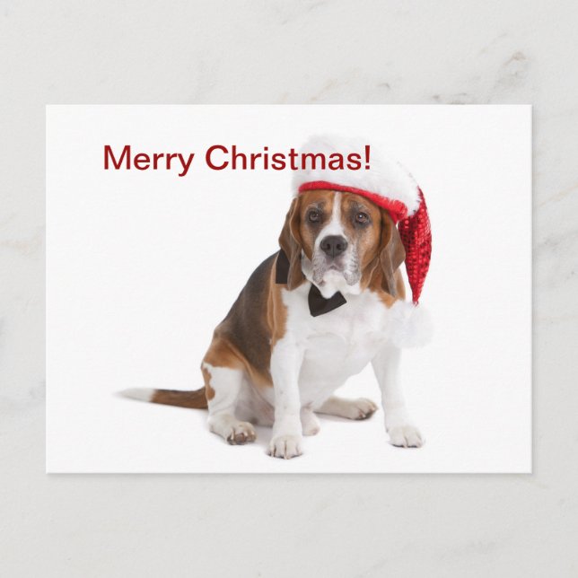 Christmas dog holiday postcard (Front)