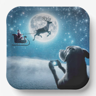 Christmas Dog Photographing Santa Claus In Sleigh Paper Plate